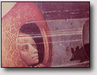 Jérome Bosch